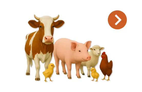 Animale domestice și de fermă sănătoase / Здоровые сельскохозяйственные животные и лошади